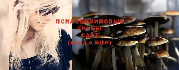 дживик Арсеньев
