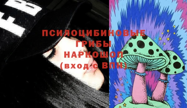 дживик Арсеньев