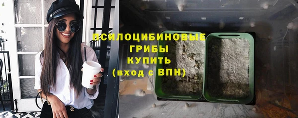 дживик Арсеньев