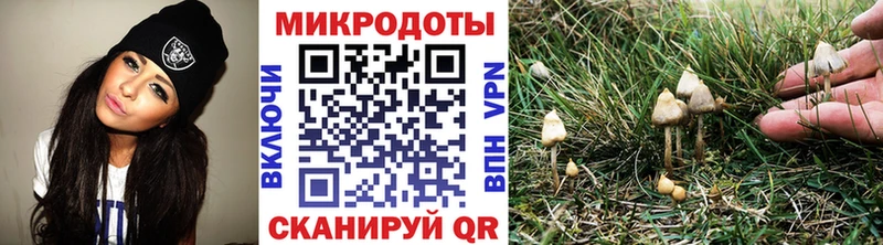 Псилоцибиновые грибы мицелий  это наркотические препараты  Верея  наркошоп 